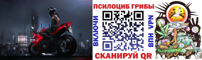 omg ONION  Рязань  Псилоцибиновые грибы Psilocybe 